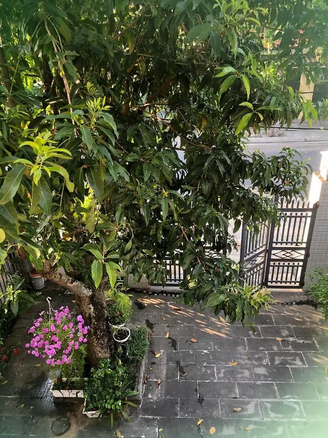 Homestay Phuong House Hoi An 0*,  Vietnam