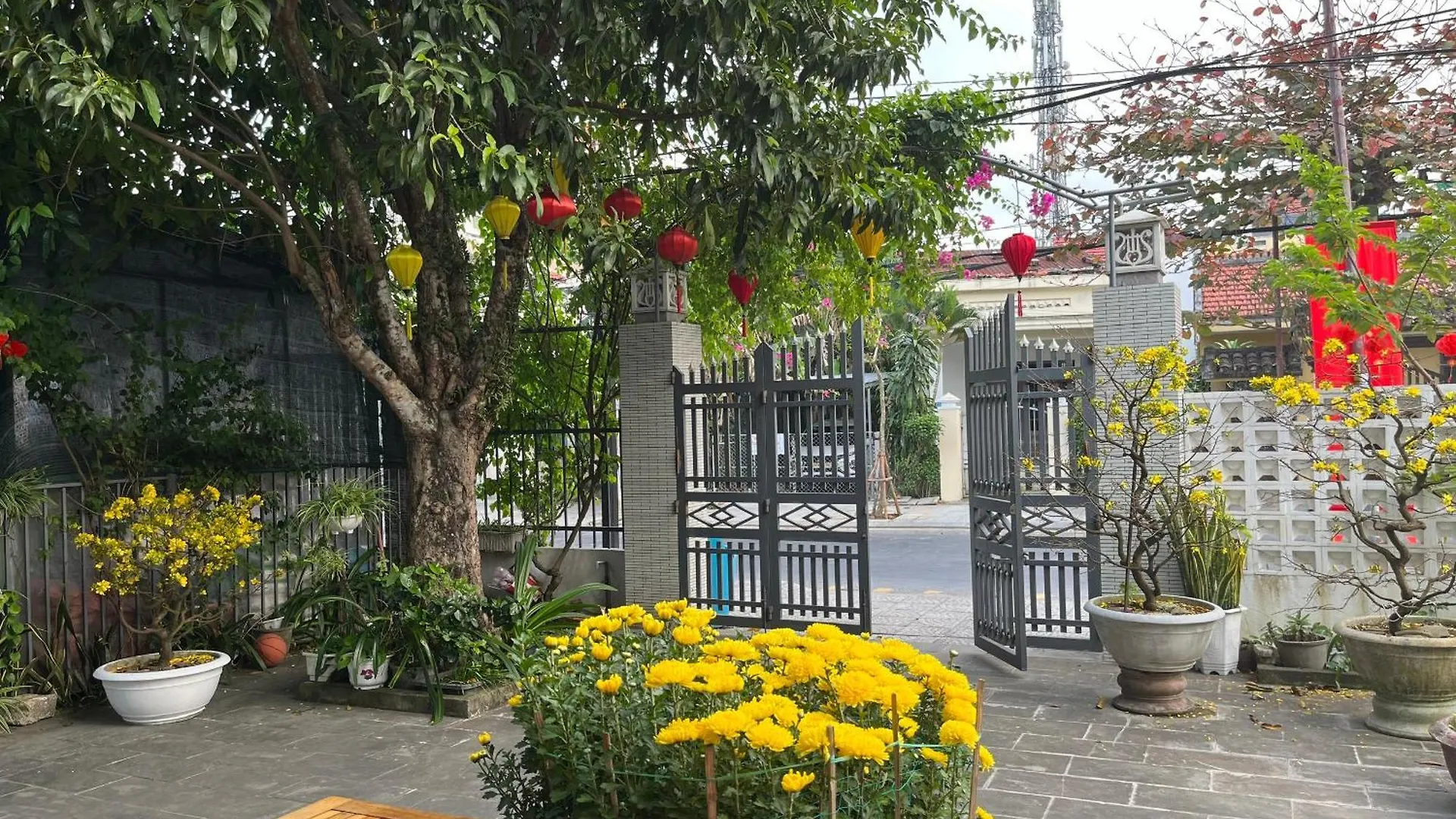 Homestay Phuong House Hoi An 0*,  Vietnam