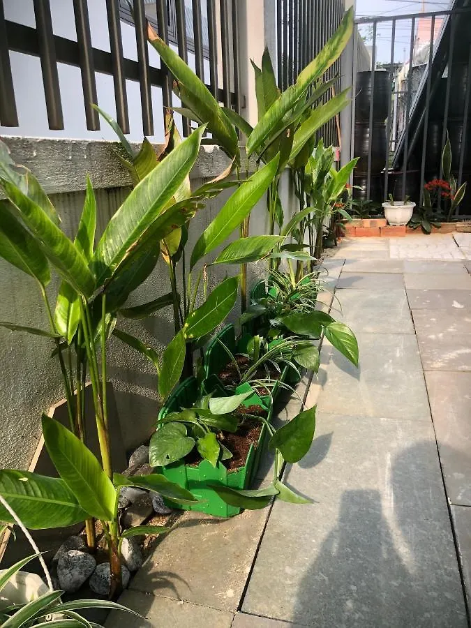 Homestay Phuong House Hoi An Vietnam