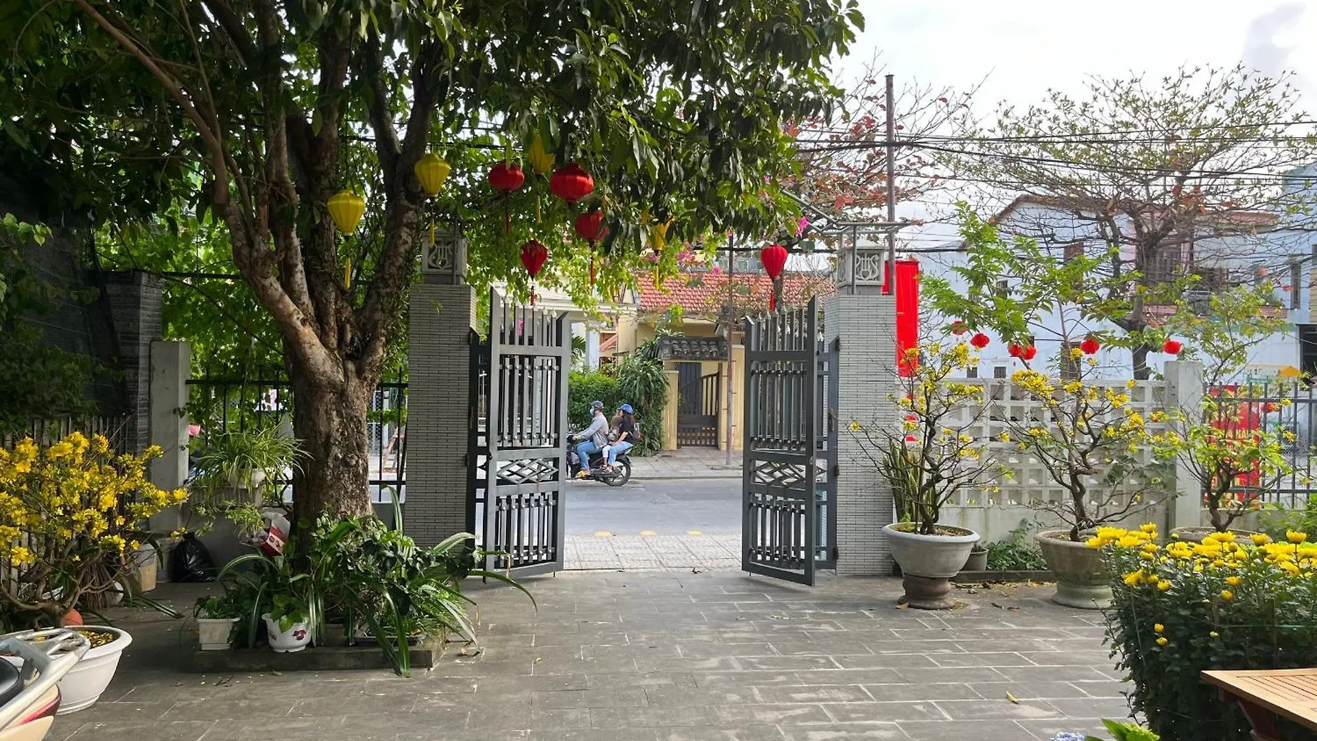 Homestay Phuong House Hoi An Vietnam