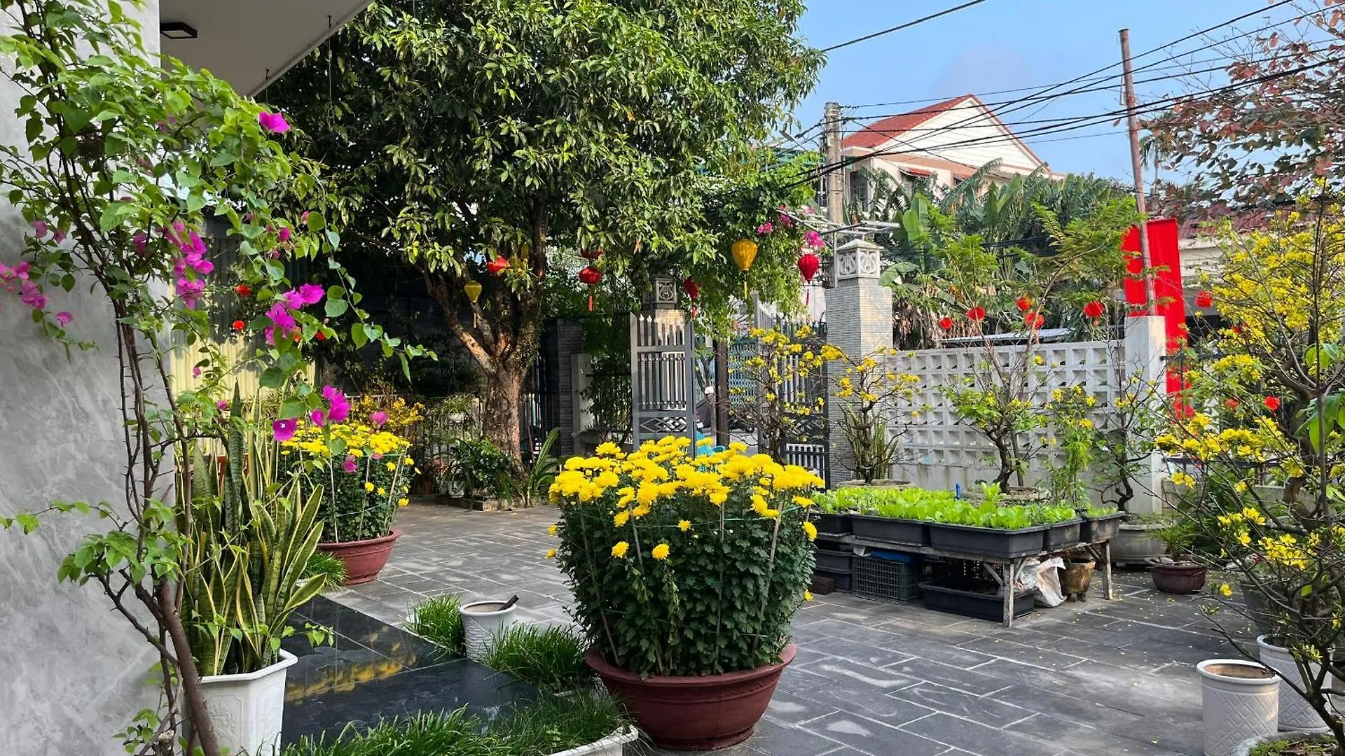 Homestay Phuong House هوي ان